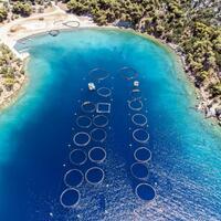 Griekse eilandbewoners ontzet over plan om viskweek op te schalen