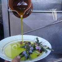 Türkiye verbiedt de export van olijfolie voor drie maanden