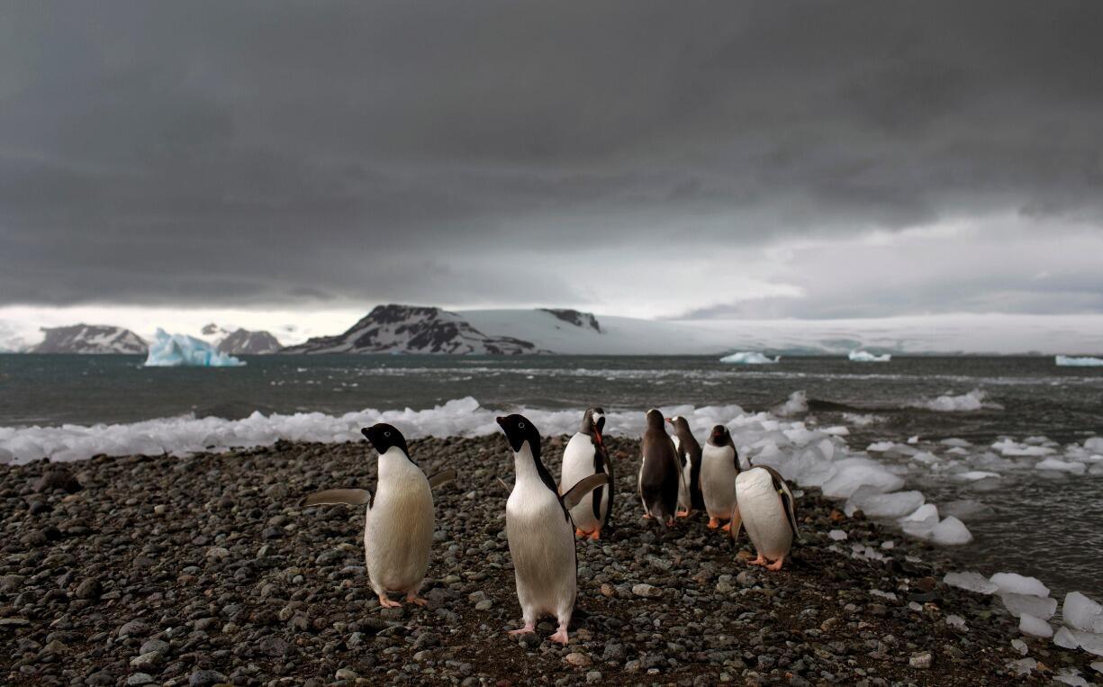 Zelfs het bevroren Antarctica wordt geteisterd door klimaatextremen