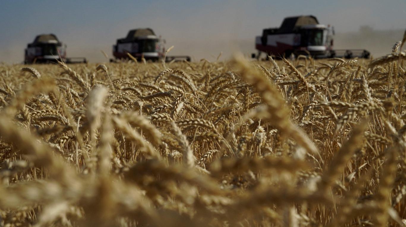 Turkse bedrijven klaar om Russisch graan te verwerken: Vereniging