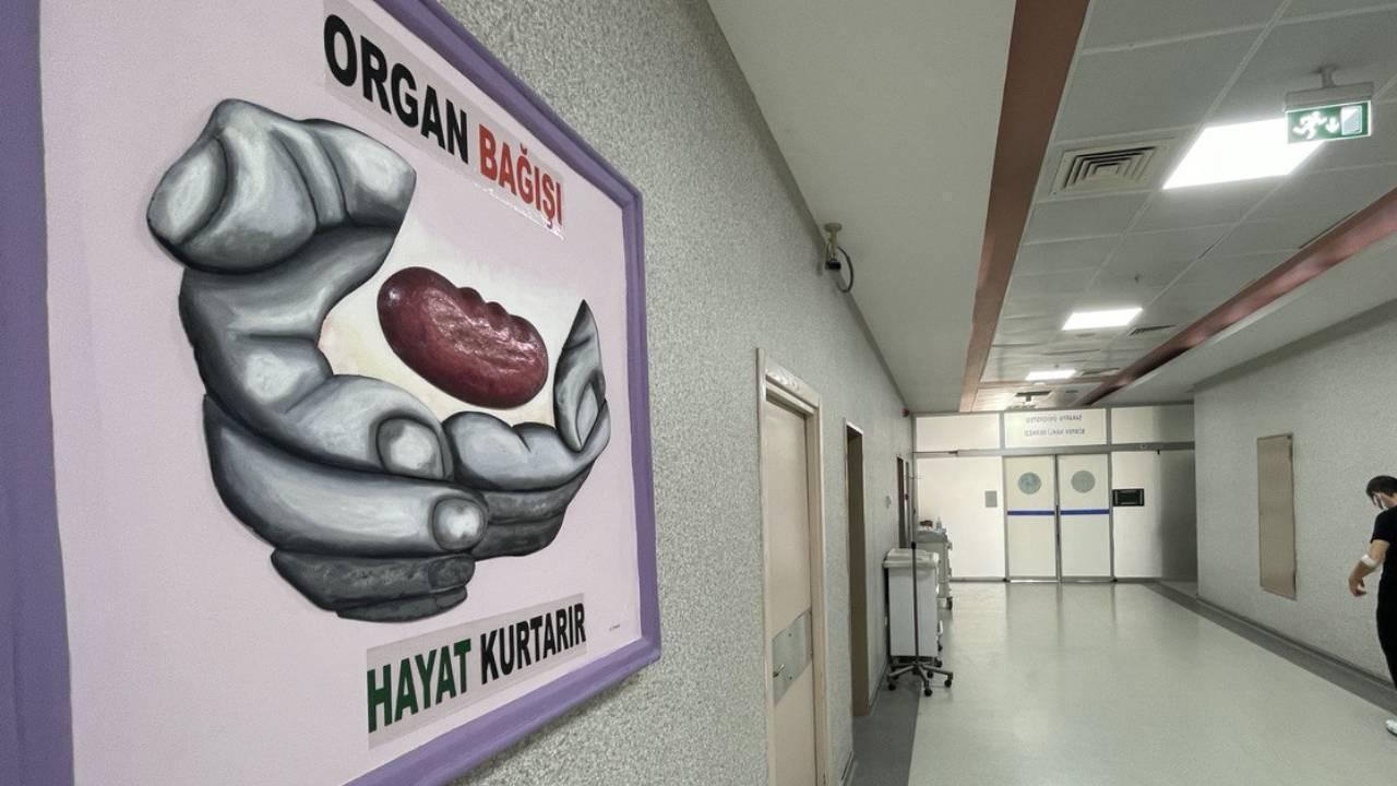30.000 patiënten wachten op orgaan- en weefseldonatie in Türkiye: Expert
