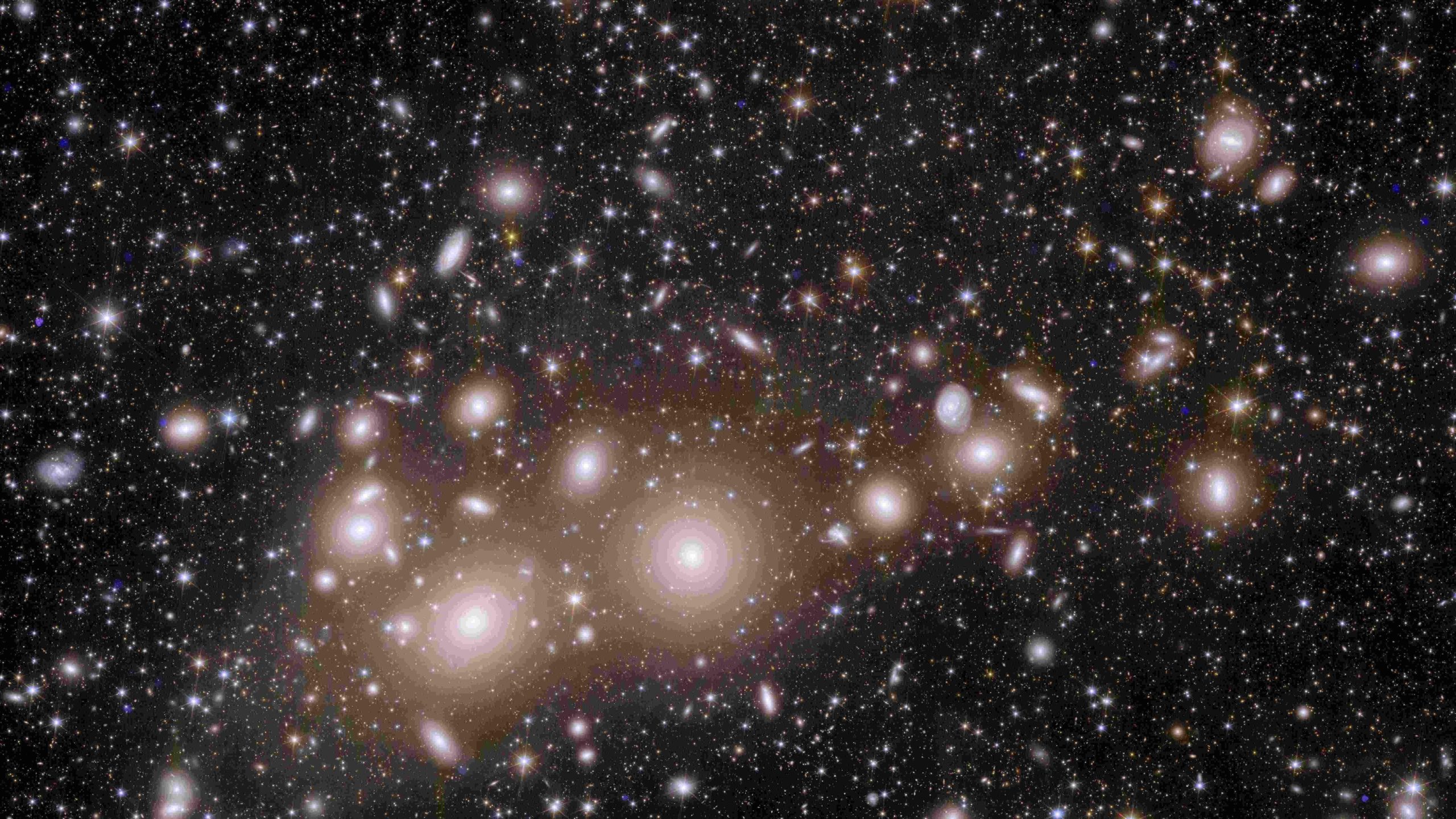 Glinsterende sterrenstelsels onthuld op nieuwe foto's van de Europese ruimtetelescoop