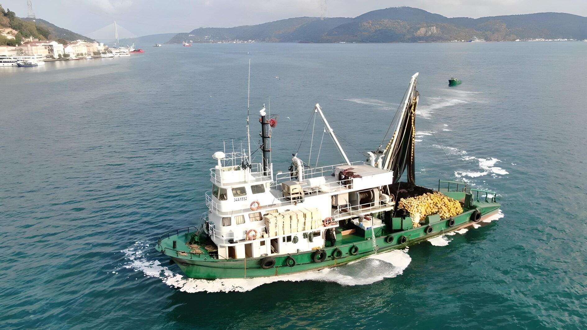 Beweringen over de kustvisserij in de Bosporus leiden tot discussie
