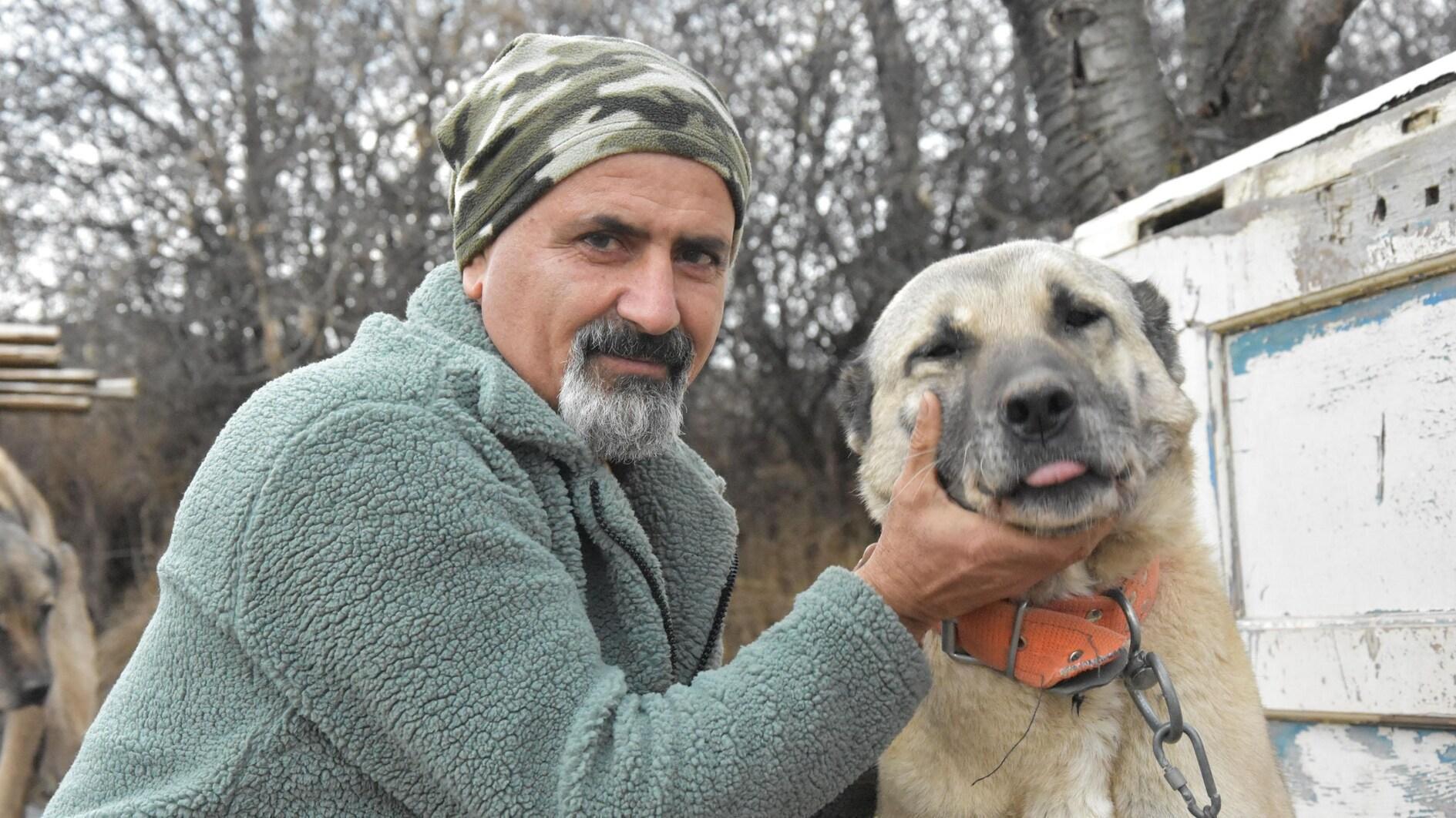 Het Turkse hondenras heeft moeite om uit te groeien tot een wintervacht