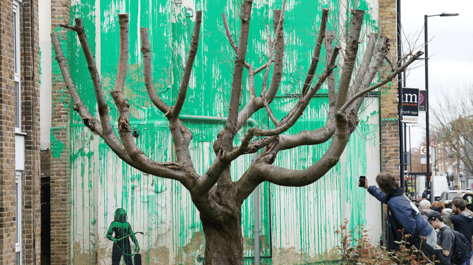 Een nieuwe Banksy-muurschildering ontspruit naast een bijgesneden boom in Londen