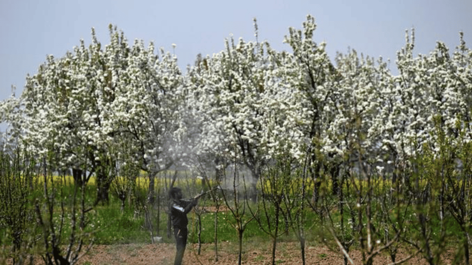 Ministerie neemt 20 ton illegale pesticiden in beslag