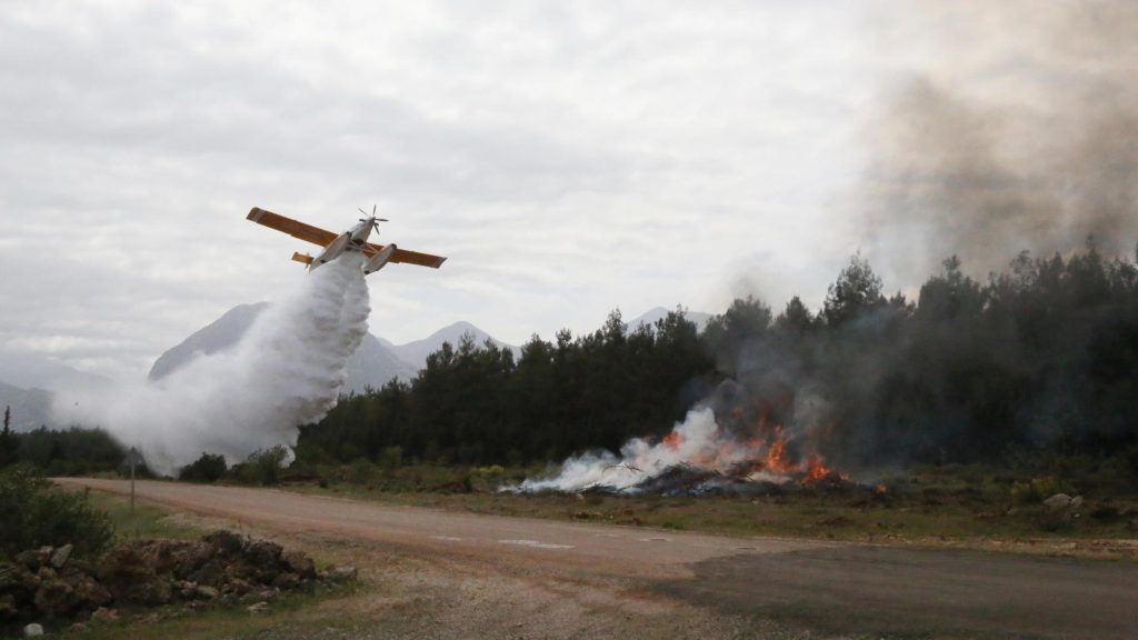 Türkiye bereidde zich voor op de bestrijding van bosbranden vóór de zomer