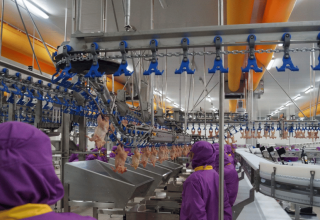 Het ministerie legt beperkingen op aan de export van kippenvlees
