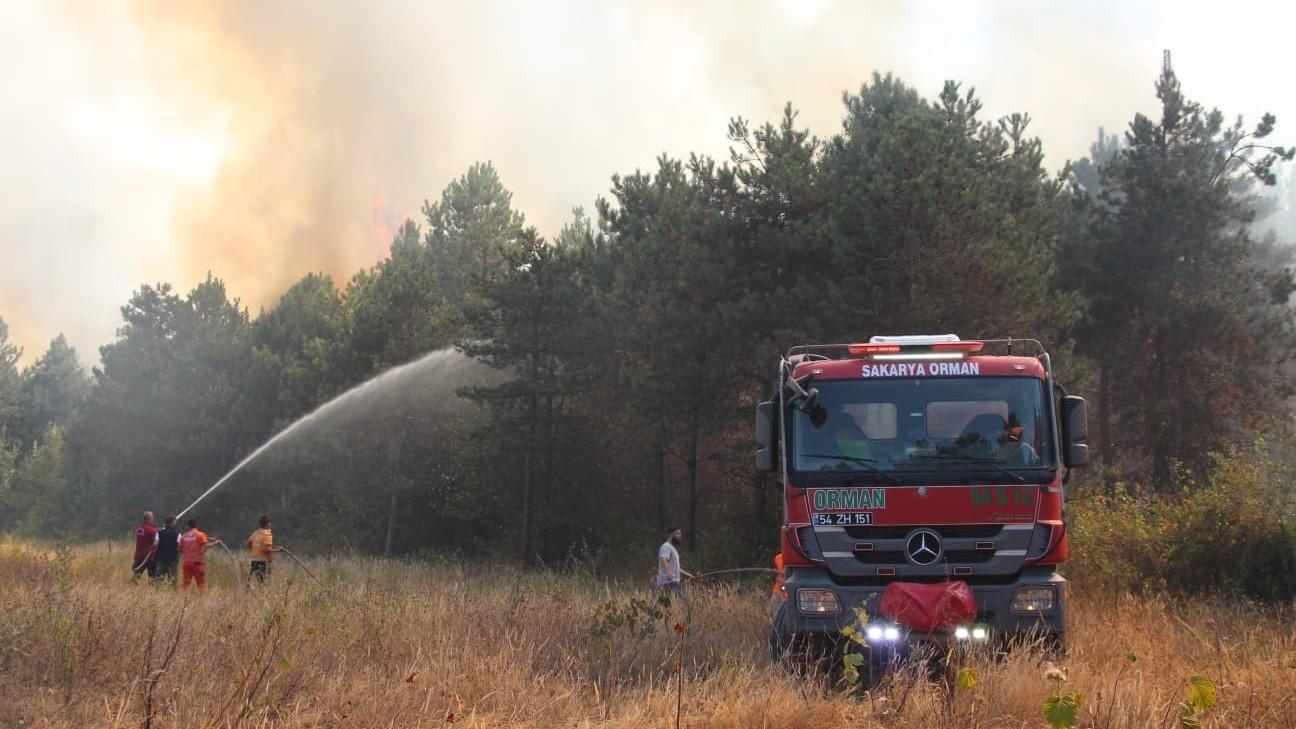 Klimaatverandering maakte dodelijke bosbranden in Türkiye, Griekenland meer felle, studie vondsten