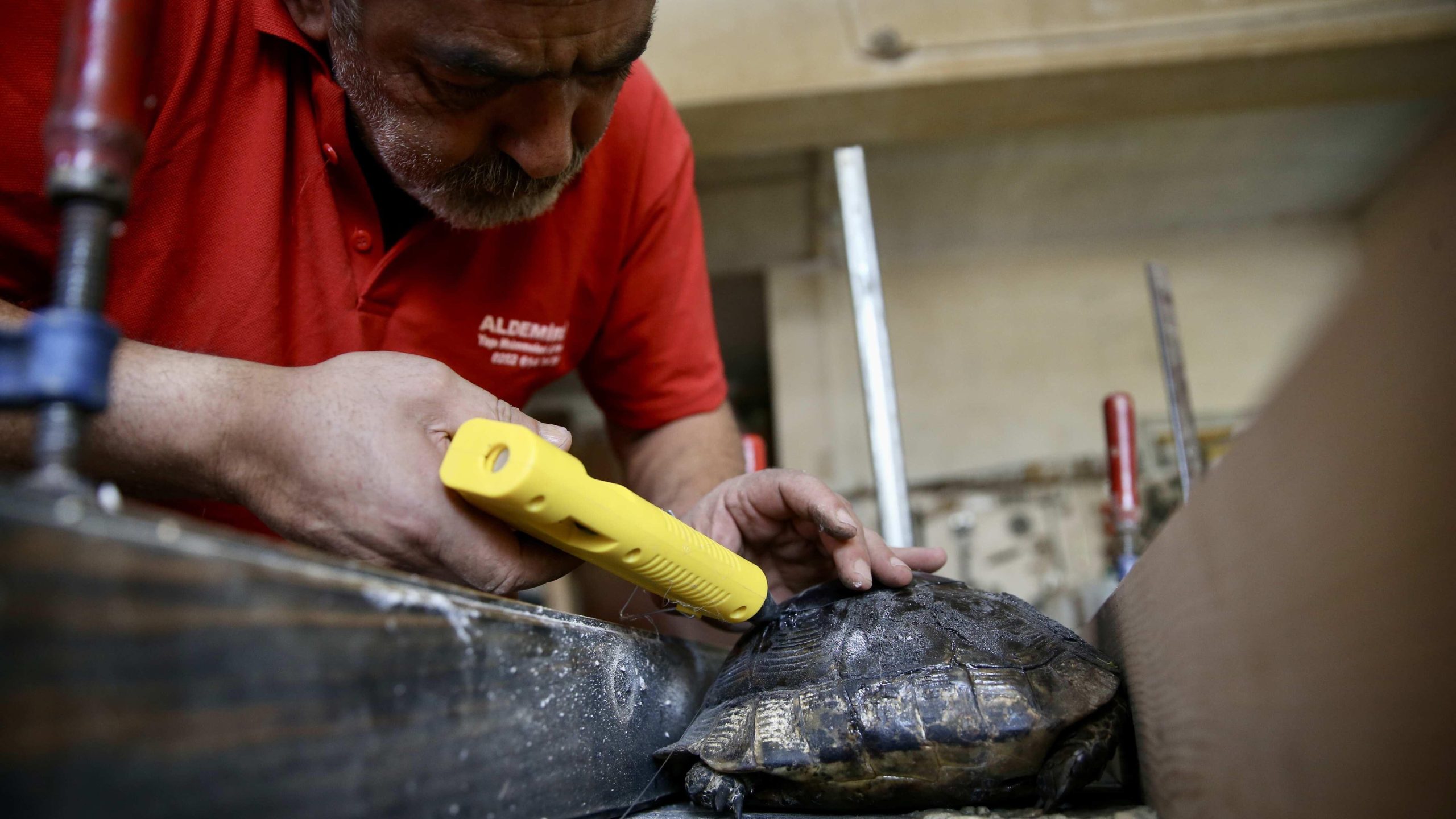 Lokale houtsnijder repareert de gebroken schaal van Turtle