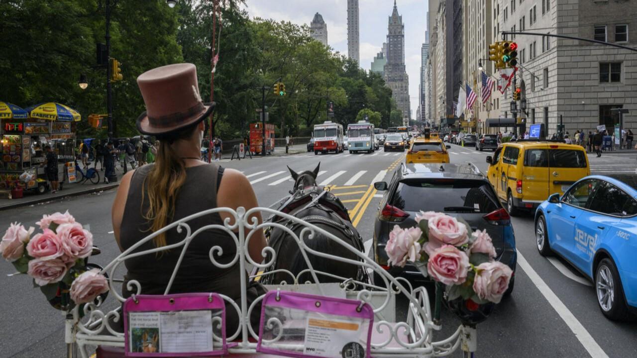Central Park Horse getrokken rijtuigen Face Ride in de zonsondergang