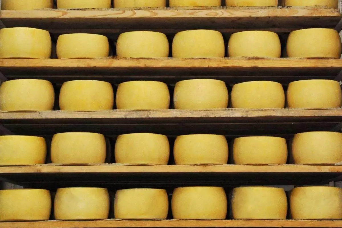 Een kaasverhaal dat zich uitstrekt van Urfa tot Amerika