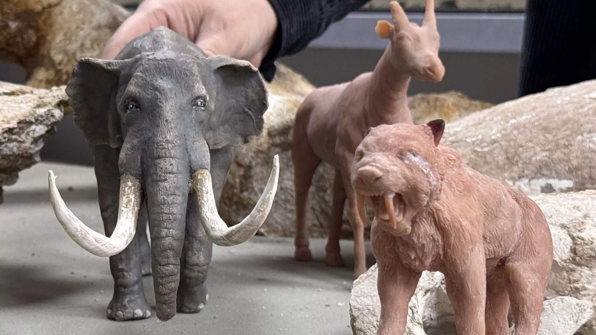 Oude megafauna-fossielen opnieuw gemaakt met 3D-technologie