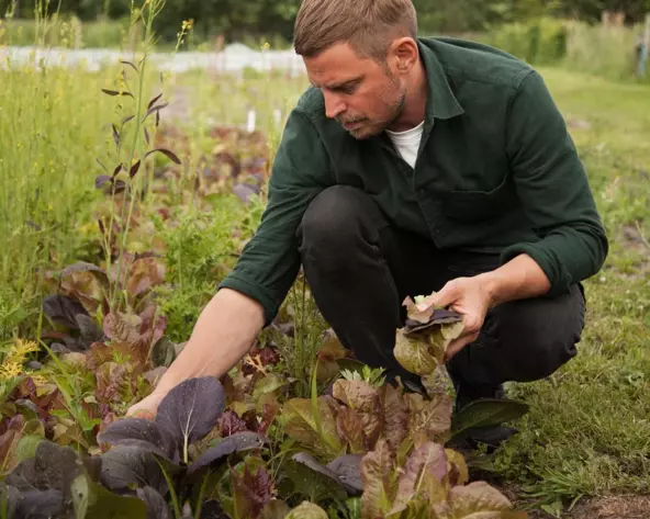 Geheugen van het eiland: Kadeau