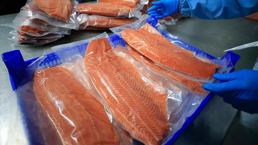 De Turkse zalmexport begint het jaar met een sterke opleving