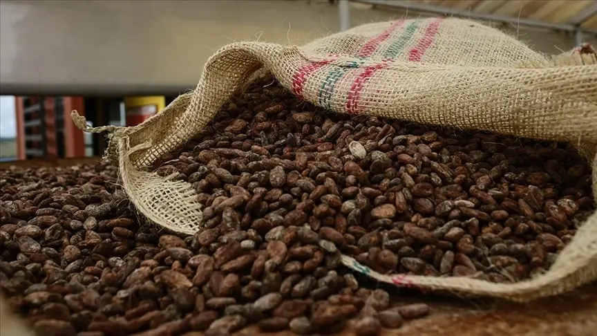De cacao-export uit Turkije bereikte in 2025 een recordhoogte van 1,7 miljard dollar