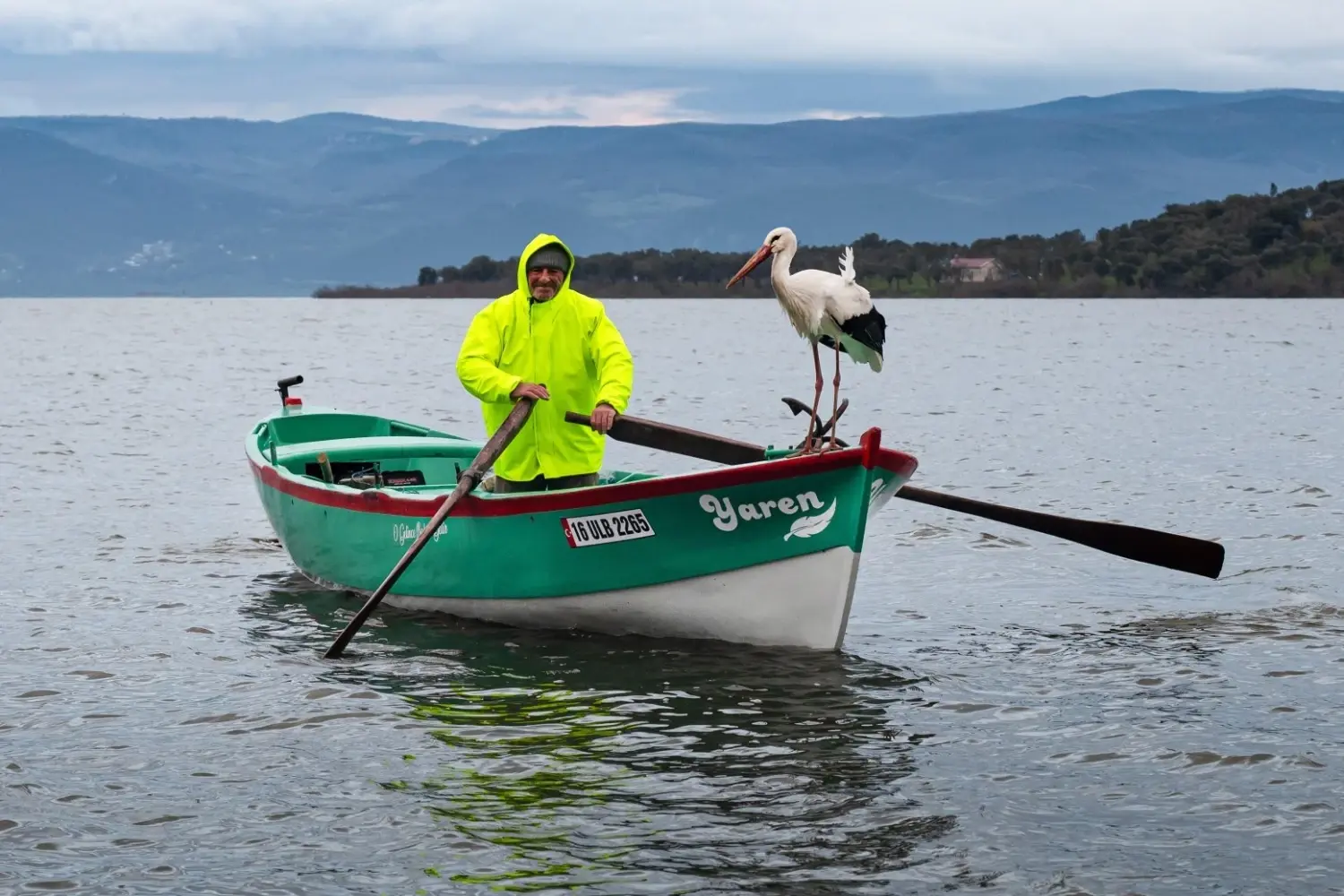 Geliefde ooievaar ‘Yaren’ keert voor 15e jaar terug om zich te herenigen met een vissersvriend