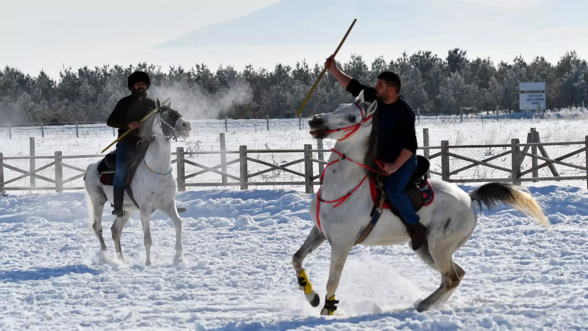 Traditionele hippische speer trekt een groeiende belangstelling in het oosten van Türkiye