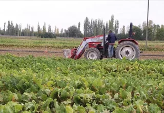 De Irancrisis stelt nieuwe uitdagingen voor de Turkse landbouw