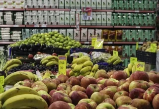 De detailhandel in levensmiddelen domineert de kleine zakelijke sector van Türkiye