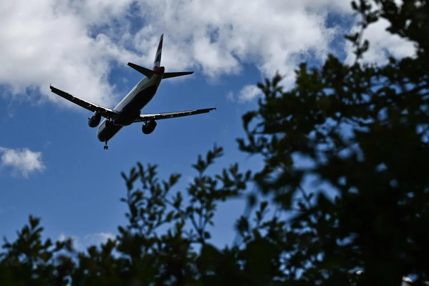 Meer verkeer, maar halvering van de winst voor luchtvaartmaatschappijen in 2026: IATA