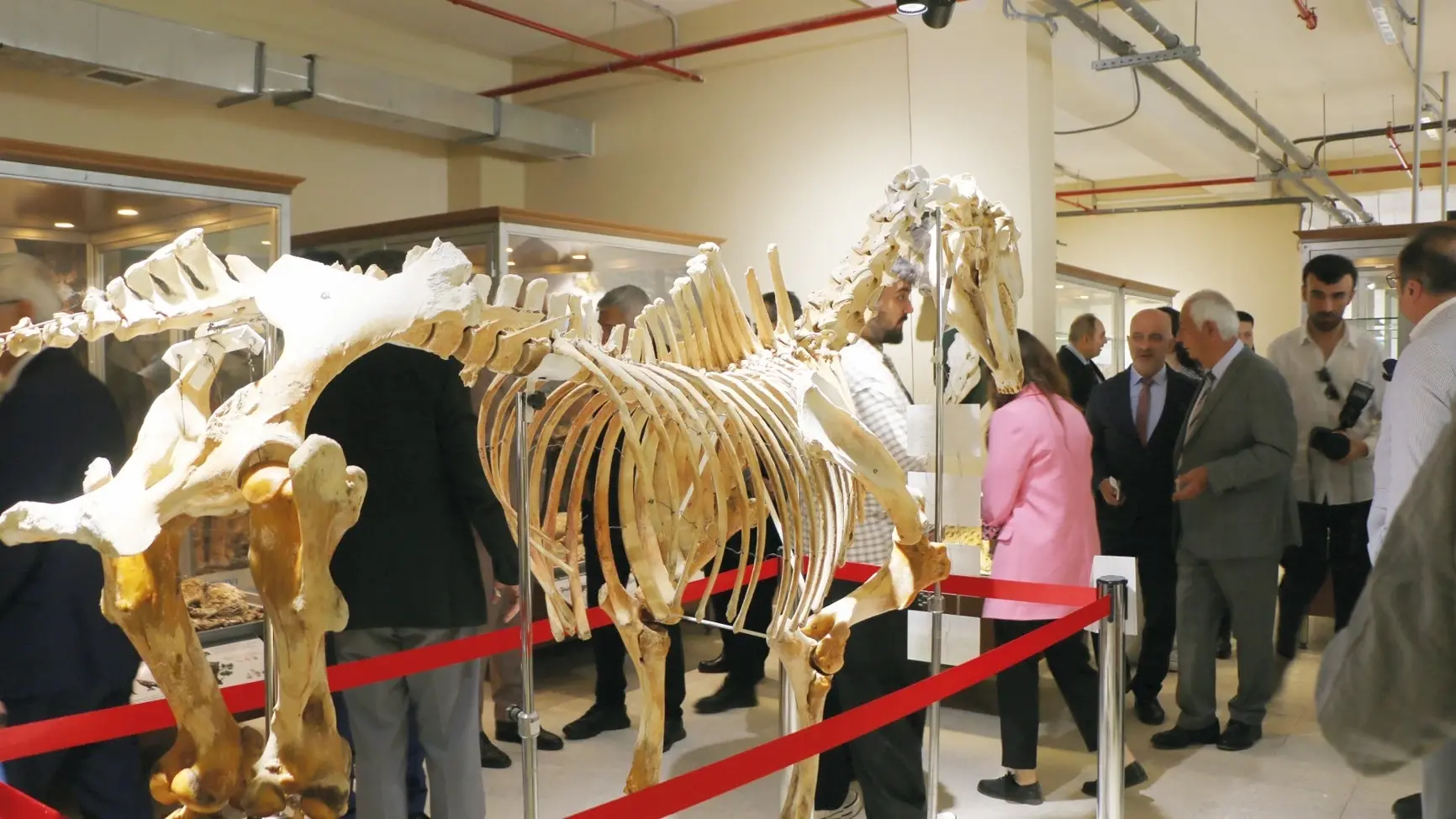 Zoölogisch Museum gaat weer open voor bezoekers