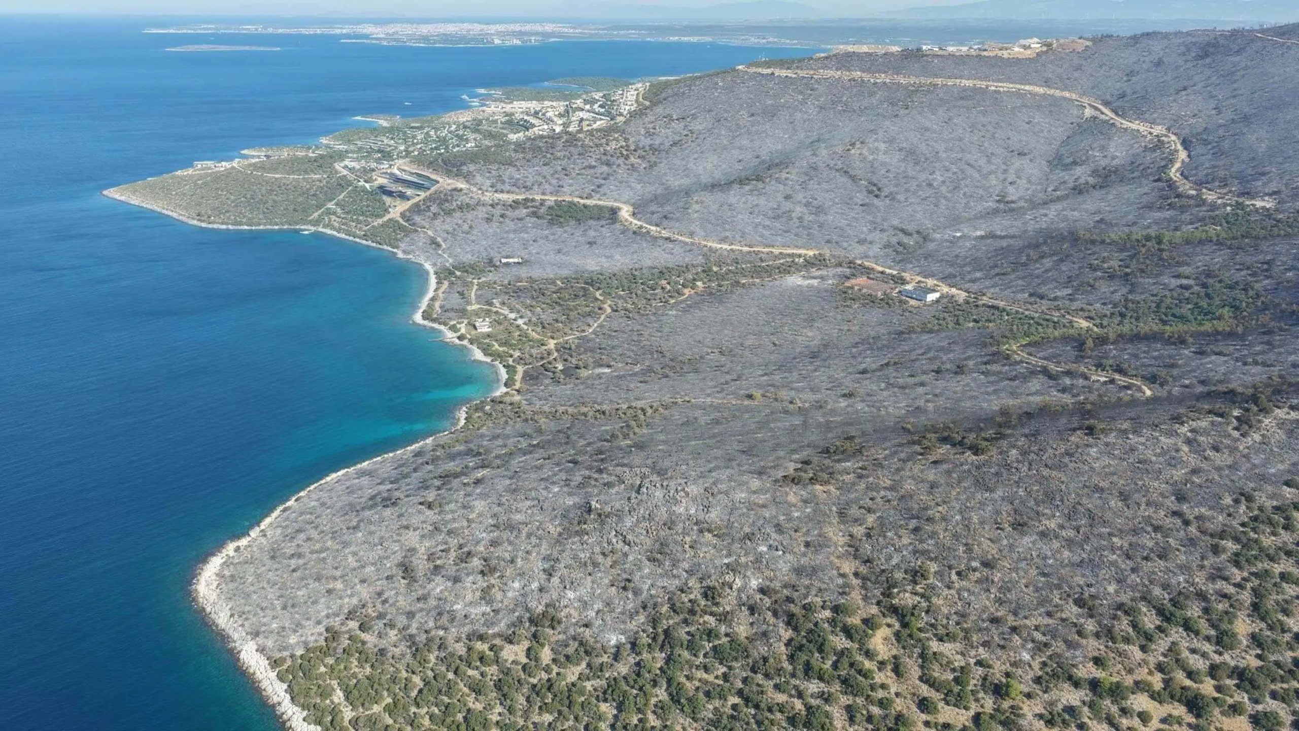 Bemanningen hebben de bosbranden in Manisa, Muğla, volledig onder controle