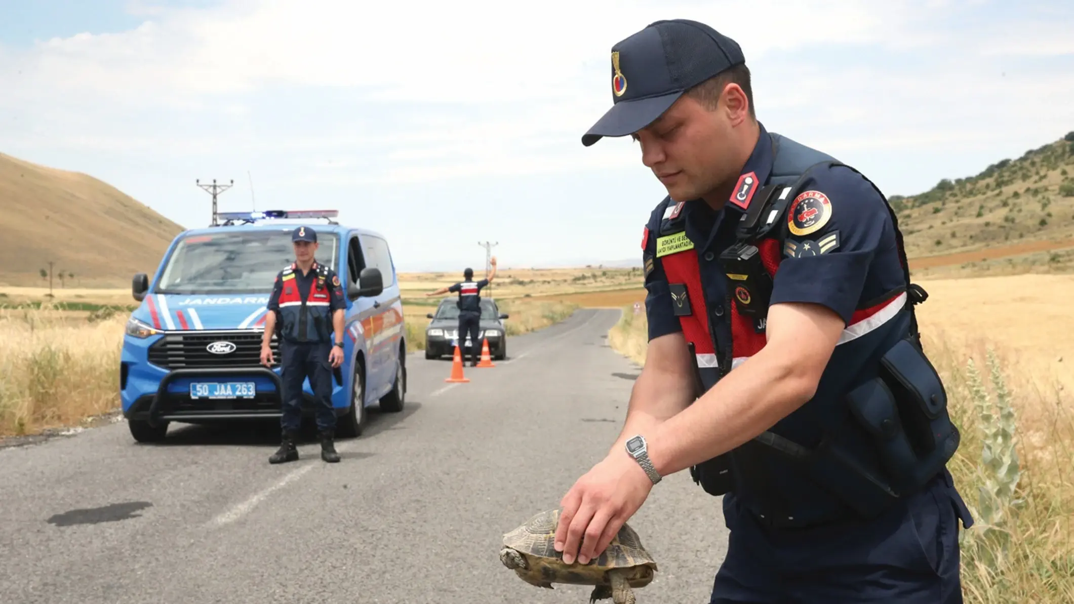 Gendarmerie patrouilleert in 'Tortoise Valley' om dieren in het wild te beschermen