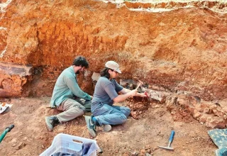 Miljoenen jaren oude fossielen werpen licht op het prehistorische leven