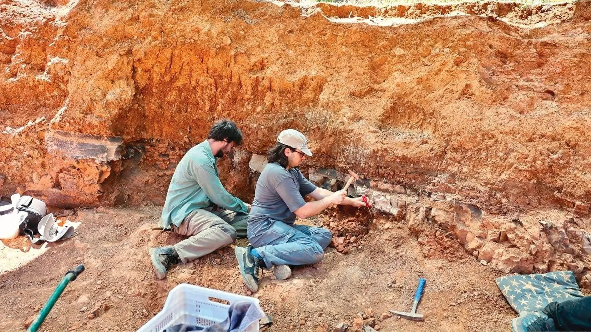 Miljoenen jaren oude fossielen werpen licht op het prehistorische leven