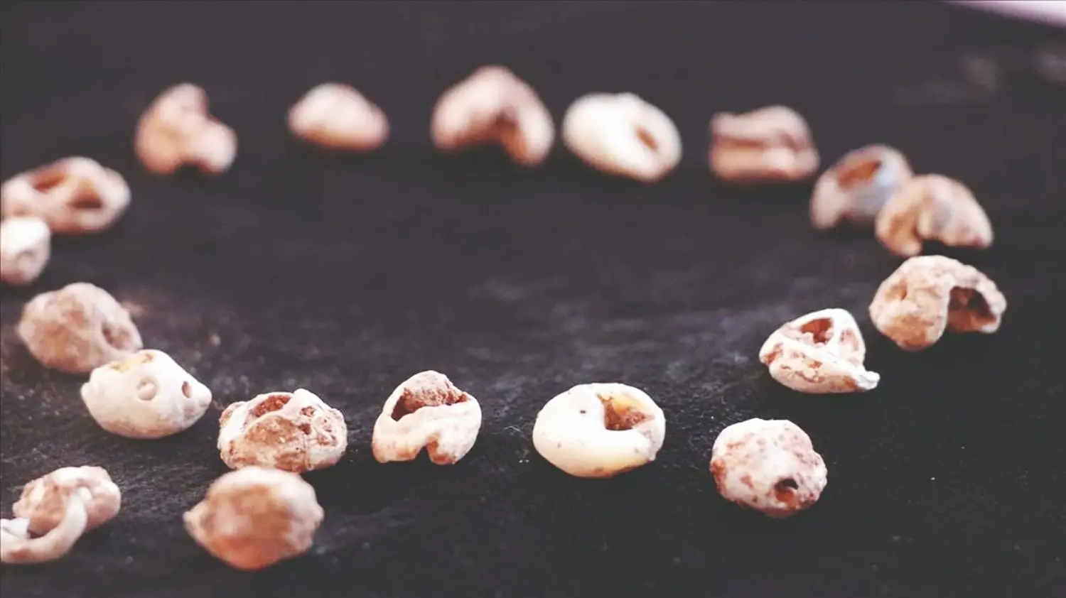 Neanderthalers en moderne mensen deelden culturele tradities in Türkiye