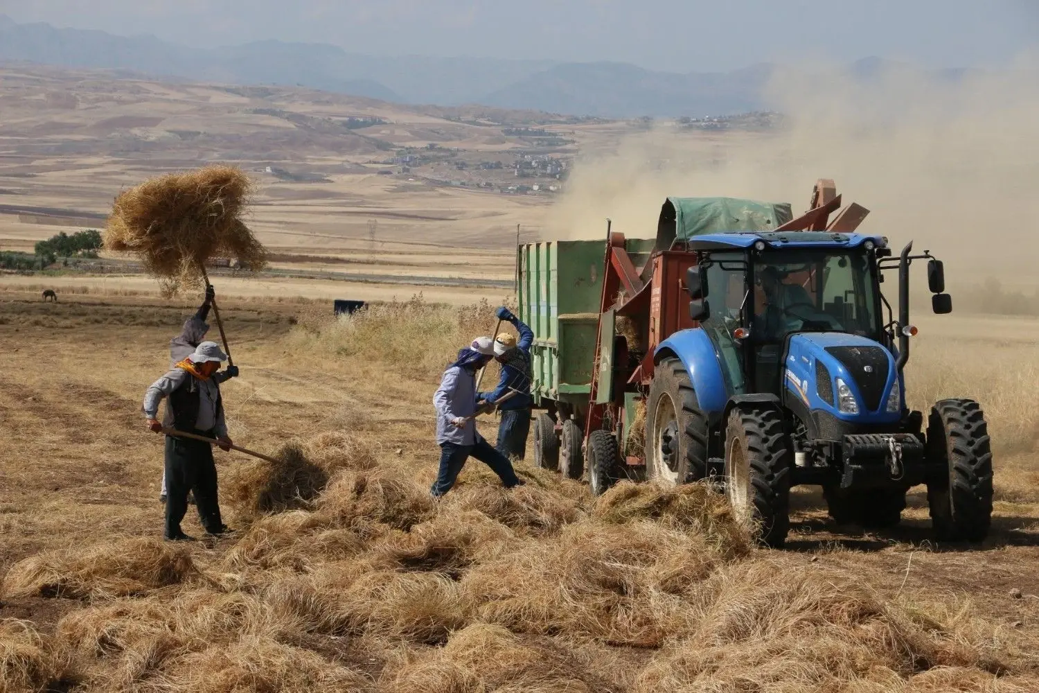 Plagen en ziekten vergroten de klimaatdruk op de Turkse landbouw