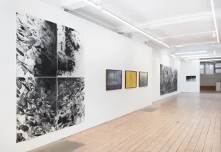 Vision Art Platform presenteert ‘Botanicals’ in Londen