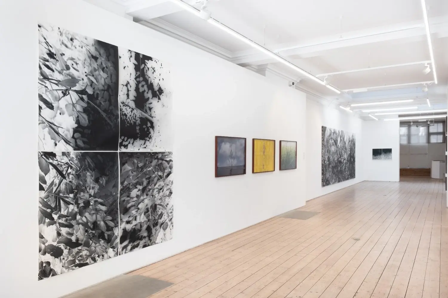 Vision Art Platform presenteert 'Botanicals' in Londen
