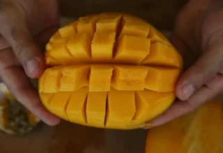 De productie van tropisch fruit breidt zich uit in Alanya