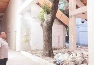 Het ontwerp van de Bursa-school is aangepast om bomen te redden