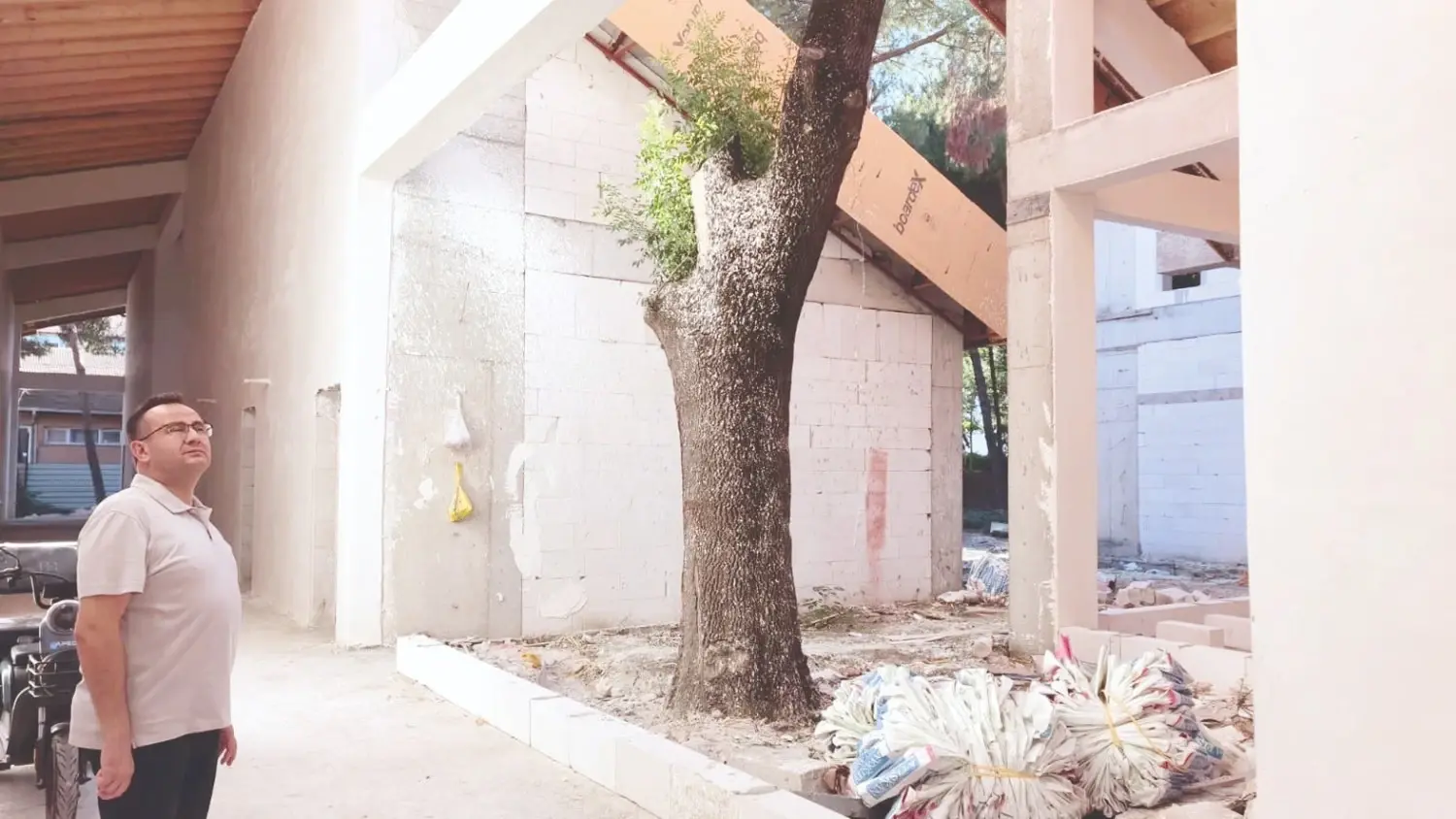 Het ontwerp van de Bursa-school is aangepast om bomen te redden