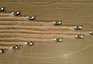 De Wereldbank keurt een financiering van 750 miljoen dollar goed voor de agrifoodsector van Türkiye