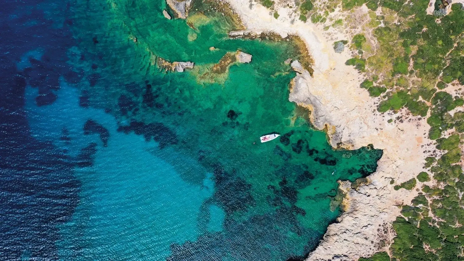 Eco-project in İzmİr verandert mosselafval in mariene habitat