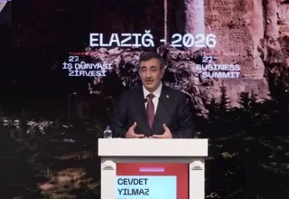 Problemen op de markten zijn tijdelijk, niet structureel: vice-president Yılmaz