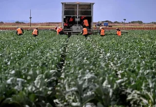 Türkiye lanceert een financieringsplan voor landbouw en voedsel ter waarde van $ 5,3 miljard