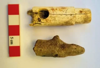 2800 jaar oude botfluit gevonden in Troje, de eerste in 160 jaar