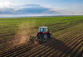 De oogstproductie is dit jaar gestegen in granen en fruit
