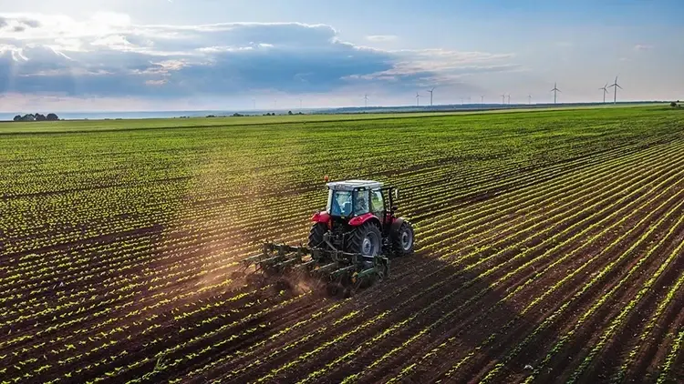 De oogstproductie is dit jaar gestegen in granen en fruit